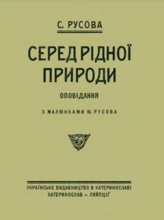 День у лісі зимою